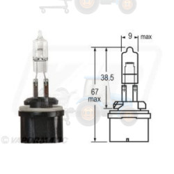 Bec incandescent VAPORMATIC - VLC0885