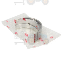 Cuzineti, arbore cotit NE - 180015000615