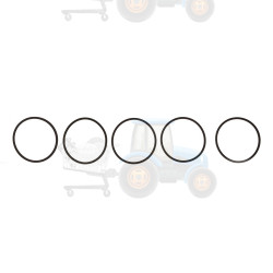 Garnitura bloc motor FP DIESEL - FP-6V5101