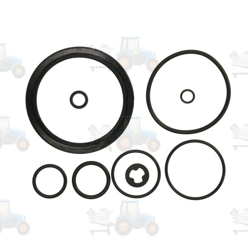 Garnitura, flansa-curatator centrifugal VAPORMATIC - VPD5242