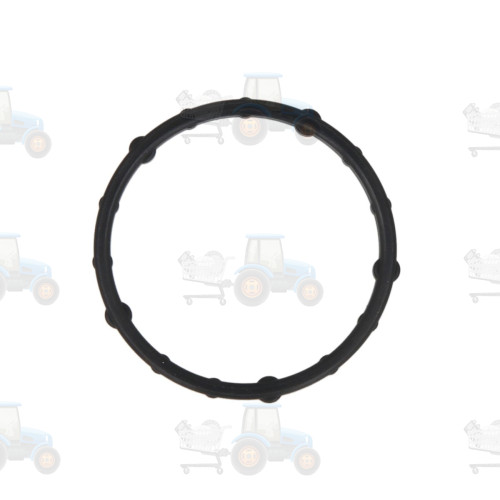 Garnitura, pompa de apa IPD PARTS - 2242675