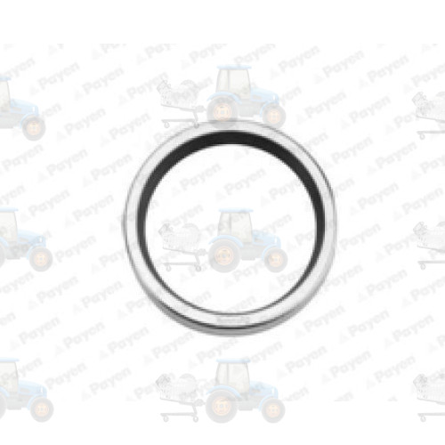 Garnitura termostat PAYEN - NA5357