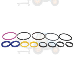 Kit de reparare a cilindrilor hidraulici CARRARO - 49315