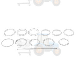 Kit de reparare a cilindrilor hidraulici OE AGCO - F737300050010