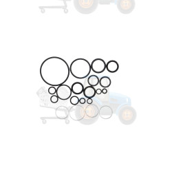 Kit de reparare a pompei hidraulice BOSCH - 1527010283