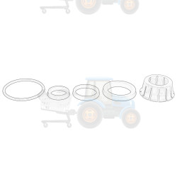 Kit reparatie piston frana OE AGCO - F198104070110