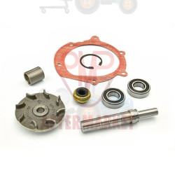 Kit reparatie pompa apa OMP - 152.156