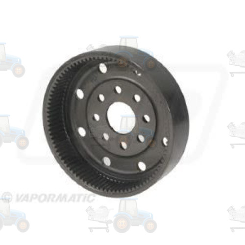 Kit reparatie reductor VAPORMATIC - VPJ7849