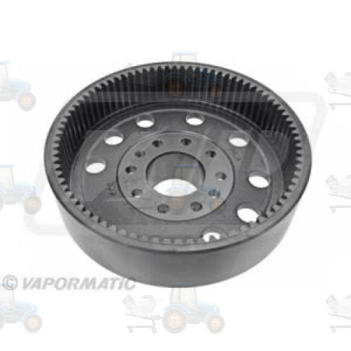 Kit reparatie reductor VAPORMATIC - VPR6174