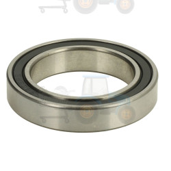 Lagar TIMKEN - 61805-2RS