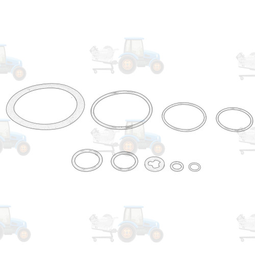 Locas garnitura filtru de combustibil OE JOHN DEERE - RE516553