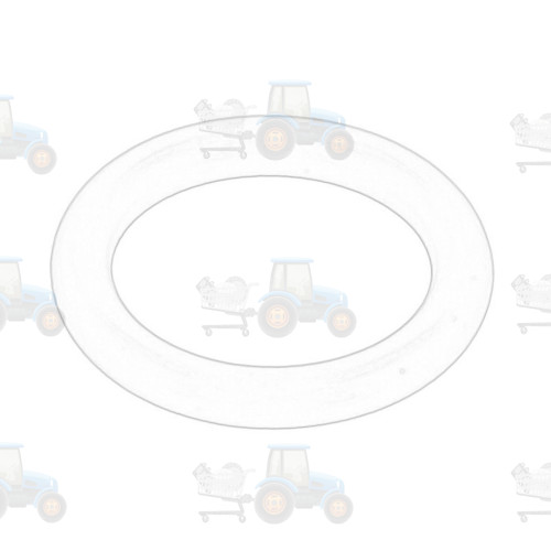 O-ring OE CNH - 5174041