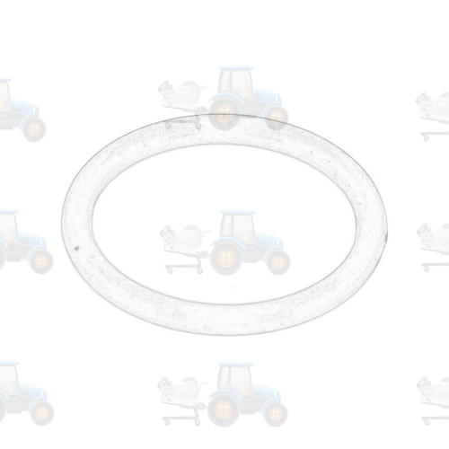 O-ring OE CNH - 9992069