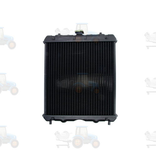 Radiator, racire motor THERMOTEC - 111.119.006A