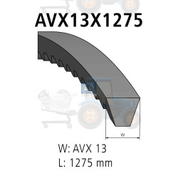 Set curea transmisie DT SPARE PARTS - 3.34203SP