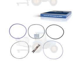 Set garnituri, bucsa cilindru DT SPARE PARTS - 2.91144