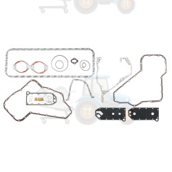 Set garnituri, carter REINZ - 08-41455-01