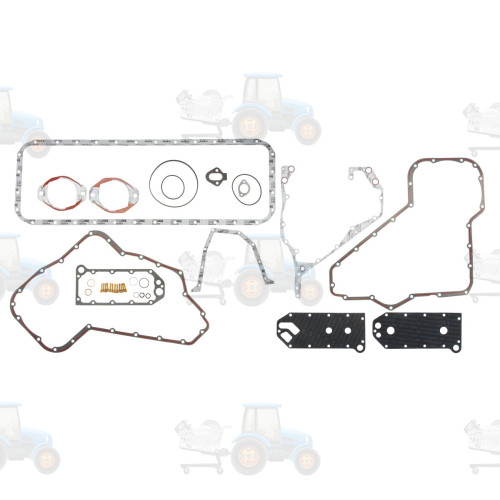 Set garnituri, carter REINZ - 08-41455-01