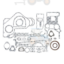 Set garnituri, carter REINZ - 08-41465-01