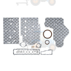 Set garnituri, carter REINZ - 08-41495-01