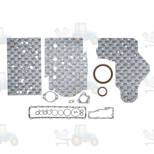 Set garnituri, carter REINZ - 08-41495-01