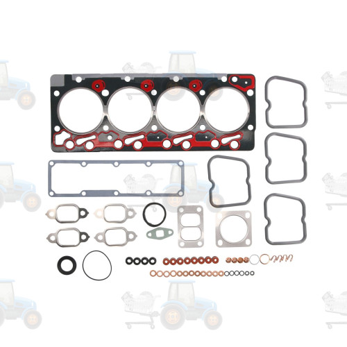 Set garnituri, chiulasa REINZ - 02-41450-01