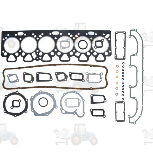 Set garnituri, chiulasa REINZ - 02-41820-01