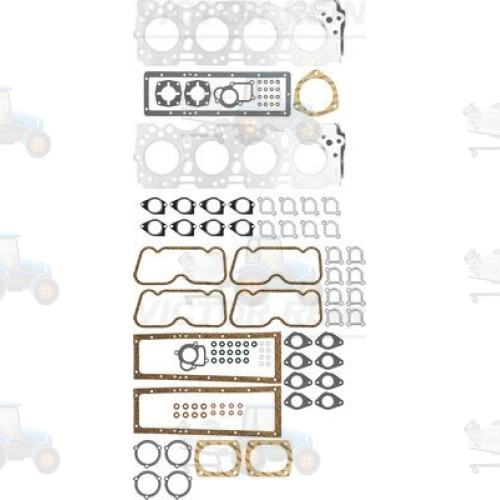 Set garnituri, chiulasa REINZ - 02-41905-01