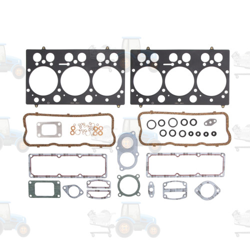 Set garnituri, chiulasa REINZ - 02-42020-01