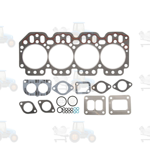 Set garnituri, chiulasa REINZ - 02-45420-11