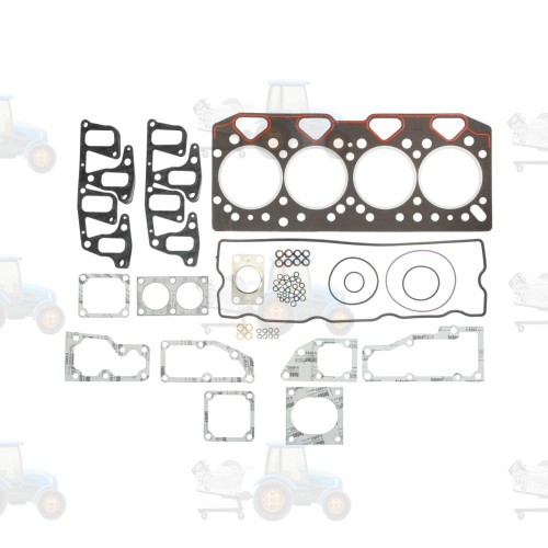 Set garnituri, chiulasa REINZ - 02-56192-01