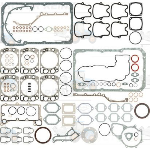 Set garnituri complet, motor REINZ - 01-25105-38