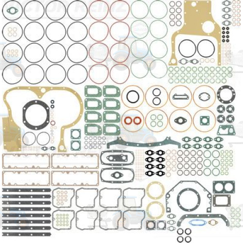 Set garnituri complet, motor REINZ - 01-25755-06