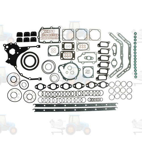 Set garnituri complet, motor REINZ - 01-29061-02