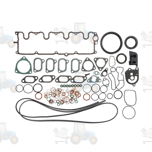 Set garnituri complet, motor REINZ - 01-31579-02