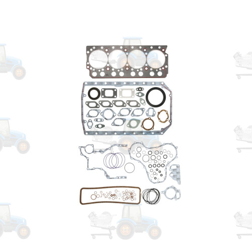 Set garnituri complet, motor REINZ - 01-41965-01