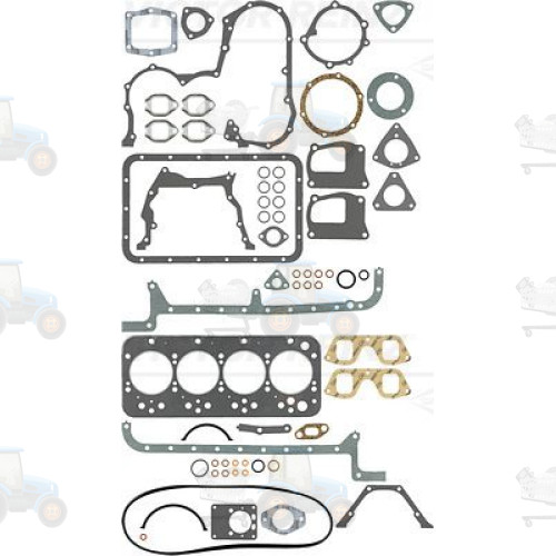 Set garnituri complet, motor REINZ - 01-42450-01