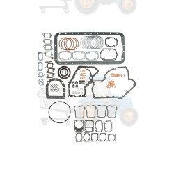 Set garnituri complet, motor REINZ - 01-43100-01