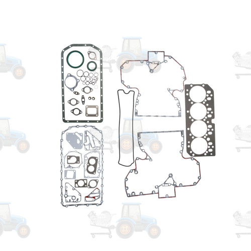 Set garnituri complet, motor REINZ - 01-45390-01