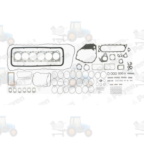 Set garnituri complet, motor PAYEN - FG9360