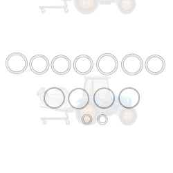 Set garnituri cutie viteze OE AGCO - G001990011520