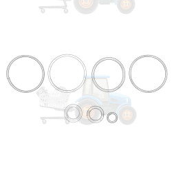 Set garnituri, transmisie manuala OE CLAAS - 6005010009