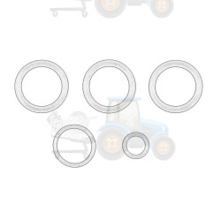 Set garnituri, transmisie manuala OE JOHN DEERE - AL207509