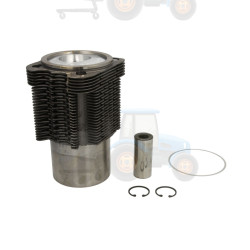 Set raparatii, piston/bucsa cursa cilindru KOLBENSCHMIDT - 91395962