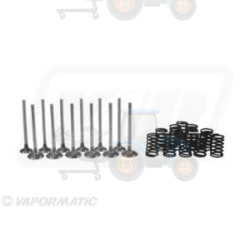 Set raparatii, piston/bucsa cursa cilindru VAPORMATIC - VPA6029