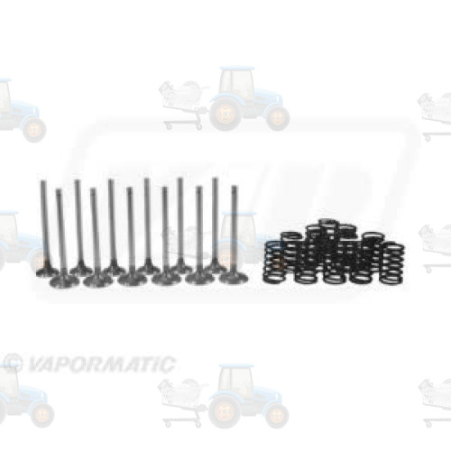 Set raparatii, piston/bucsa cursa cilindru VAPORMATIC - VPA6029