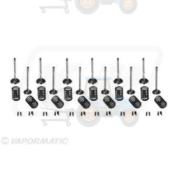 Set raparatii, piston/bucsa cursa cilindru VAPORMATIC - VPA6034