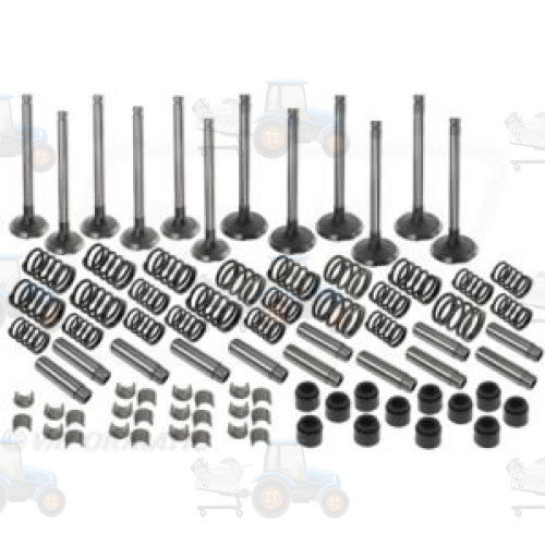 Set raparatii, piston/bucsa cursa cilindru VAPORMATIC - VPA6037