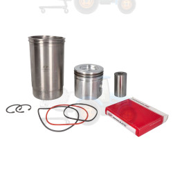 Set raparatii, piston/bucsa cursa cilindru VAPORMATIC - VPB8622