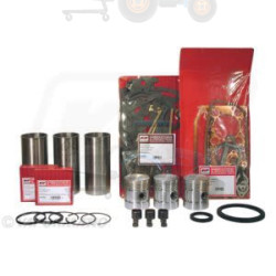 Set raparatii, piston/bucsa cursa cilindru VAPORMATIC - VPB9001